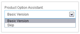 espwebsites settings display options