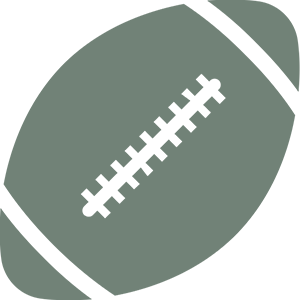 football icon